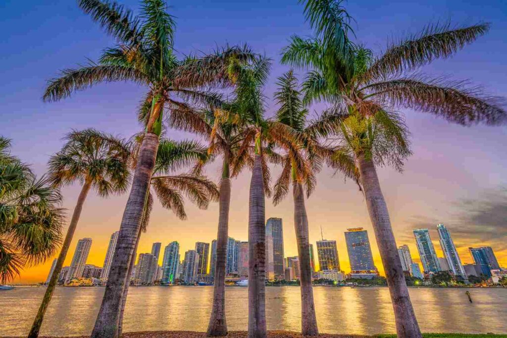 Departamento en miami con palmeras: Posesión Efectiva de Bienes en el Extranjero
